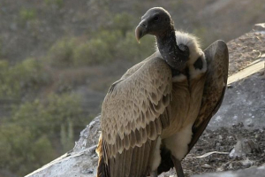 Cienka chłodna łyczka Cienka chłodna łyczka