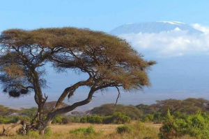 Top 10 największych szczytów górskich afryki - wysokość, charakterystyki i zdjęcia Top 10 największych szczytów górskich afryki - wysokość, charakterystyki i zdjęcia