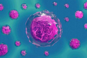 Najlepsze 10 podstawowych faktów o komórkach żywych organizmów Najlepsze 10 podstawowych faktów o komórkach żywych organizmów