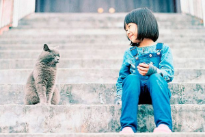 Najlepsze najlepsze bajki o kotach z dzieciństwa Najlepsze najlepsze bajki o kotach z dzieciństwa