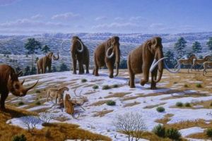 Naukowcy: po 10 latach, mameuts wróci