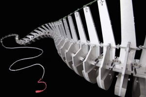 Naukowcy udowodnili wyzwania naddźwiękowe ogon zaauropod Naukowcy udowodnili wyzwania naddźwiękowe ogon zaauropod