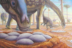 Naukowcy ustalili temperaturę ciała dinozaurów: pomógł skorupa jaja Naukowcy ustalili temperaturę ciała dinozaurów: pomógł skorupa jaja
