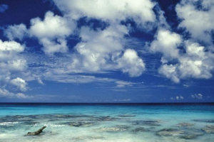 Naukowcy: plankton uczestniczy w formacji chmur