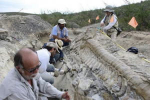Naukowcy z całego świata szukają pozostałości dinozaurów na vologda
