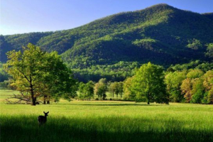 Umiarkowany pas klimatyczny Umiarkowany pas klimatyczny