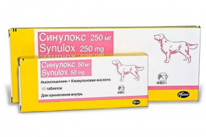 W jakich przypadkach przepisywane są sininoks dla psów, dawek i kosztów leku W jakich przypadkach przepisywane są sininoks dla psów, dawek i kosztów leku