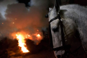 W regionie kirovograd konno spalił się ze stajniami