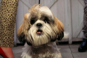 W usa człowiek bit bit W usa człowiek bit bit