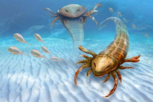 W usa pozostałości starożytnego gigantycznego skorpionu morskiego