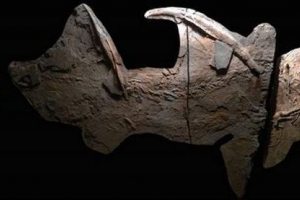 Pozostałości starożytnego super rekina znaleziono w teksasie