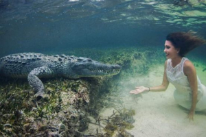 Wideo, na którym roberta mancino ułożyła sesję zdjęciową z krokodylem, był hit internet