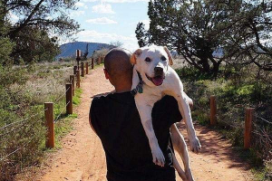 All-amerykańska podróż dla umierającego psa