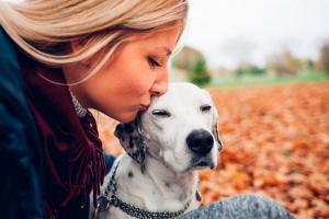 Wybór rasy psów przez znak zodiaku Wybór rasy psów przez znak zodiaku