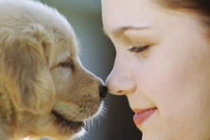 Dlaczego dzieci zwierzęta domowe? Dlaczego dzieci zwierzęta domowe?