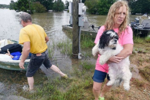 Mieszkańcy louisiana oszczędzają zwierzęta z powodzi Mieszkańcy louisiana oszczędzają zwierzęta z powodzi