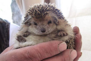 Zoolog - najlepsza praca! Zoolog - najlepsza praca!